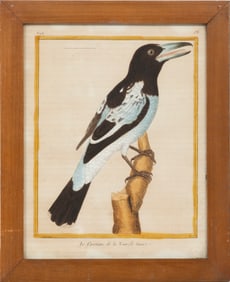 François-Nicolas Martinet, French, 1731-1800, "La Cassican, de la Nouvelle-Guinée",