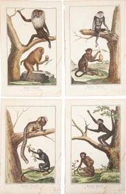 After François-Nicolas Martinet, French, 1731-1800, "Le Papion & L'Ouandérou", "Le