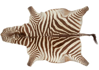 Zebra Skin Rug