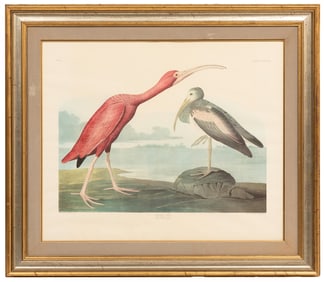 John James Audubon (American, 1785-1851), "Scarlet Ibis", Plate 397, color lithograph, from The