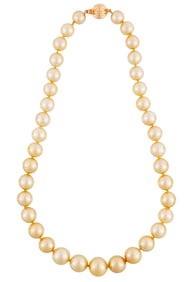 14 kt. Yellow Gold and Golden South Sea Pearl Necklace