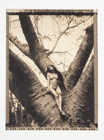 Lee Crum, American/Arkansas 20th c., active Louisiana 1978-2005, "Women in Nature", 4 archival