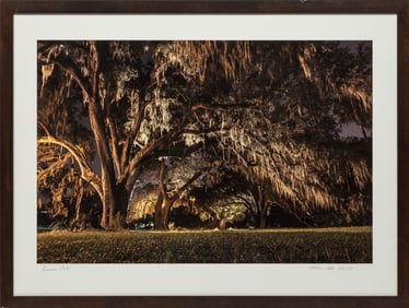 Frank Relle, American/Louisiana b. 1976, ?Polyminia? & ?Anseman Oaks?, 2 c-prints, one laid on foam