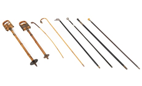 Group of Canes and Shooting Sticks