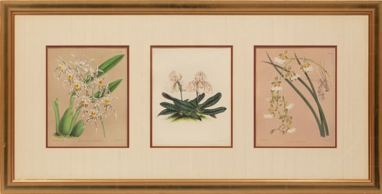 John Nugent Fitch, British, 1840-1927, 3 hand-colored lithographs
