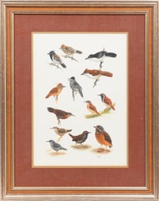 John Patton O'Neill, American/Louisiana b. 1942, "Ornithological Studies", watercolor on paper laid