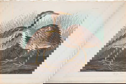 John James AudubonAmerican, 1785-1851, "American Bittern", hand-colored aquatint with engraving,