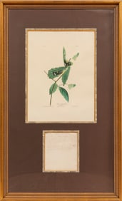[John James Audubon Autograph Note], John James Audubon, American, 1785-1851, "Black & Yellow