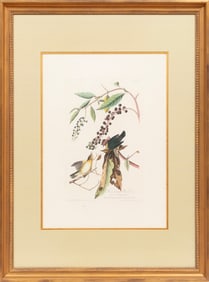 John James Audubon, American, 1785-1851, ?Worm-eating Warbler?, hand-colored aquatint with
