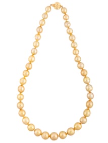 14 kt. Yellow Gold and Golden South Sea Pearl Necklace