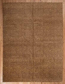 Contemporary Indo Carpet