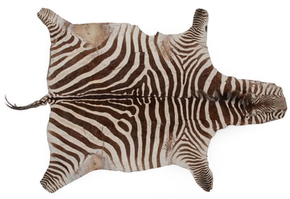Zebra Skin Rug