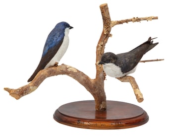 Don Gomez, American/Louisiana, b. 1951, "Tree Swallow", paint and mixed media on carved wood, titled