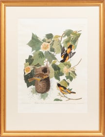 John James Audubon American, 1785-1851, "Baltimore Oriole", hand-colored aquatint with engraving,