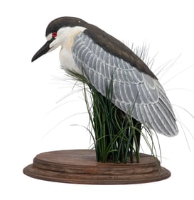 Don Gomez, American/Louisiana, b. 1951, "Black-Crowned Heron", paint and mixed media on carved wood,