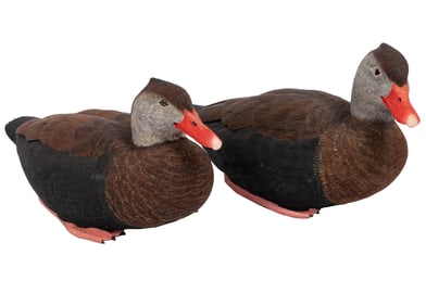 Don Gomez, American/Louisiana, b. 1951, "Black Bellied Tree Duck Pair", paint and mixed media on