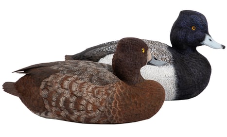 Don Gomez, American/Louisiana, b. 1951, "Lesser Scaup Hen 'Dos Gris'" and "Lesser Scaup Male 'Des