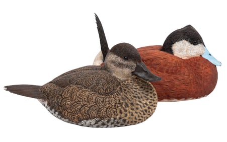 Don Gomez, American/Louisiana, b. 1951, "Ruddy Hen" and "Ruddy Drake", paint and mixed media on