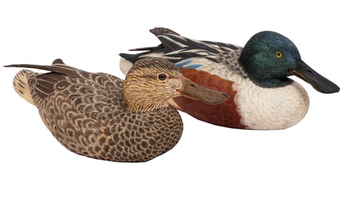 Don Gomez, American/Louisiana, b. 1951, "Northern Shoveler Hen" and "Northern Shoveler Drake", paint
