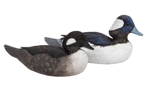 Don Gomez, American/Louisiana, b. 1951, "Bufflehead Hen" and "Bufflehead Drake", paint and mixed