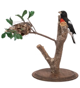 Don Gomez, American/Louisiana, b. 1951, "Rose-Breasted Grosbeak", paint and mixed media on carved