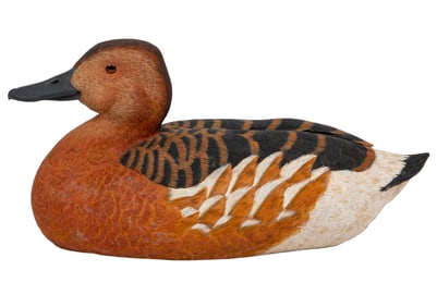 Don Gomez, American/Louisiana, b. 1951, "Fulvous Whistling-Duck", paint and mixed media on carved