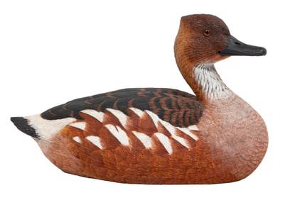 Don Gomez, American/Louisiana, b. 1951, "Fulvous Whistling Duck - Louisiana?s 'Nocturnal' Duck",