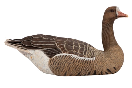 Don Gomez, American/Louisiana, b. 1951, "White-fronted Goose", paint and mixed media on carved wood,