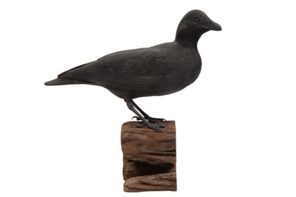 Don Gomez, American/Louisiana, b. 1951, "Common Crow", paint and mixed media on carved wood, 1999,