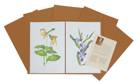 Margaret Elsie Stones, Australian 1920-2018, ?Flora of Louisiana", 12 lithographs