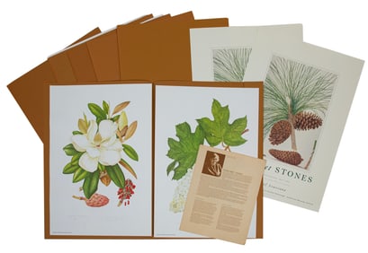 Margaret Elsie Stones, Australian 1920-2018, ?Flora of Louisiana?, 12 lithographs
