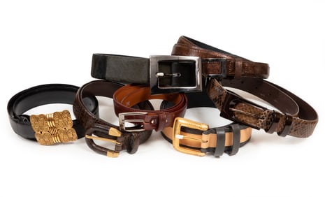 Seven Vintage Carlisle Leather and Reptile Belts