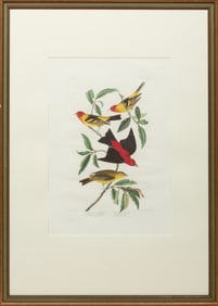 John James Audubon, American 1785-1851, "Louisiana Tanager", hand-colored aquatint with engraving
