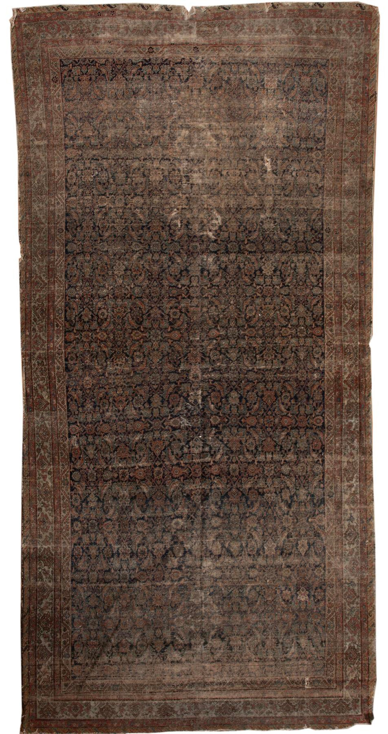 Herati Rug: Herati Rug 6 ft. 1 in. x 12 ft. 6 in.