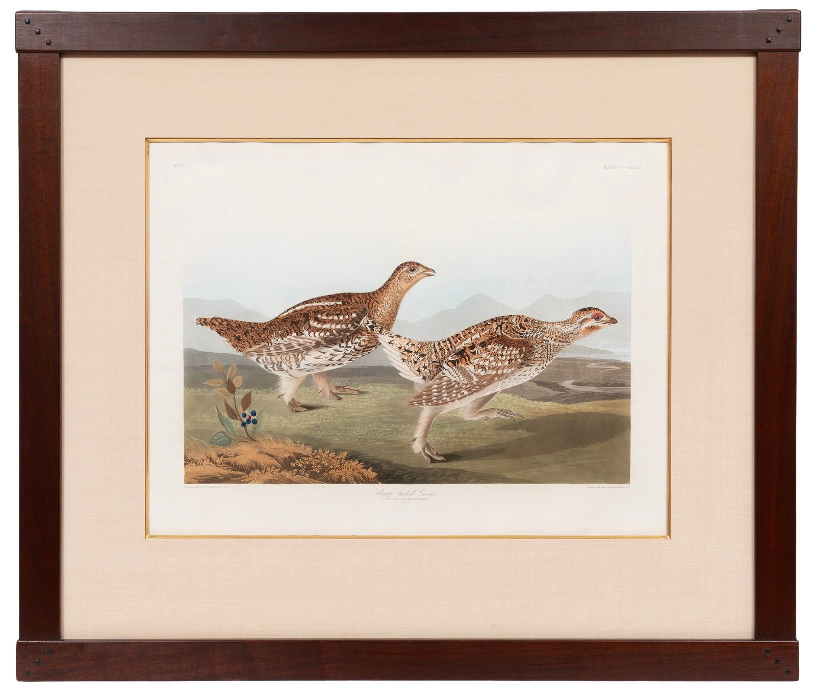 John James Audubon, American 1785-1851, "Sharp-tailed Grous", hand-colored aquatint with engraving (1 of 8)