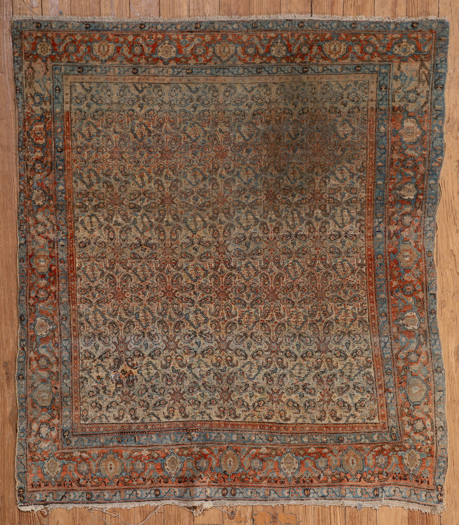 Persian Senneh Rug (1 of 1)