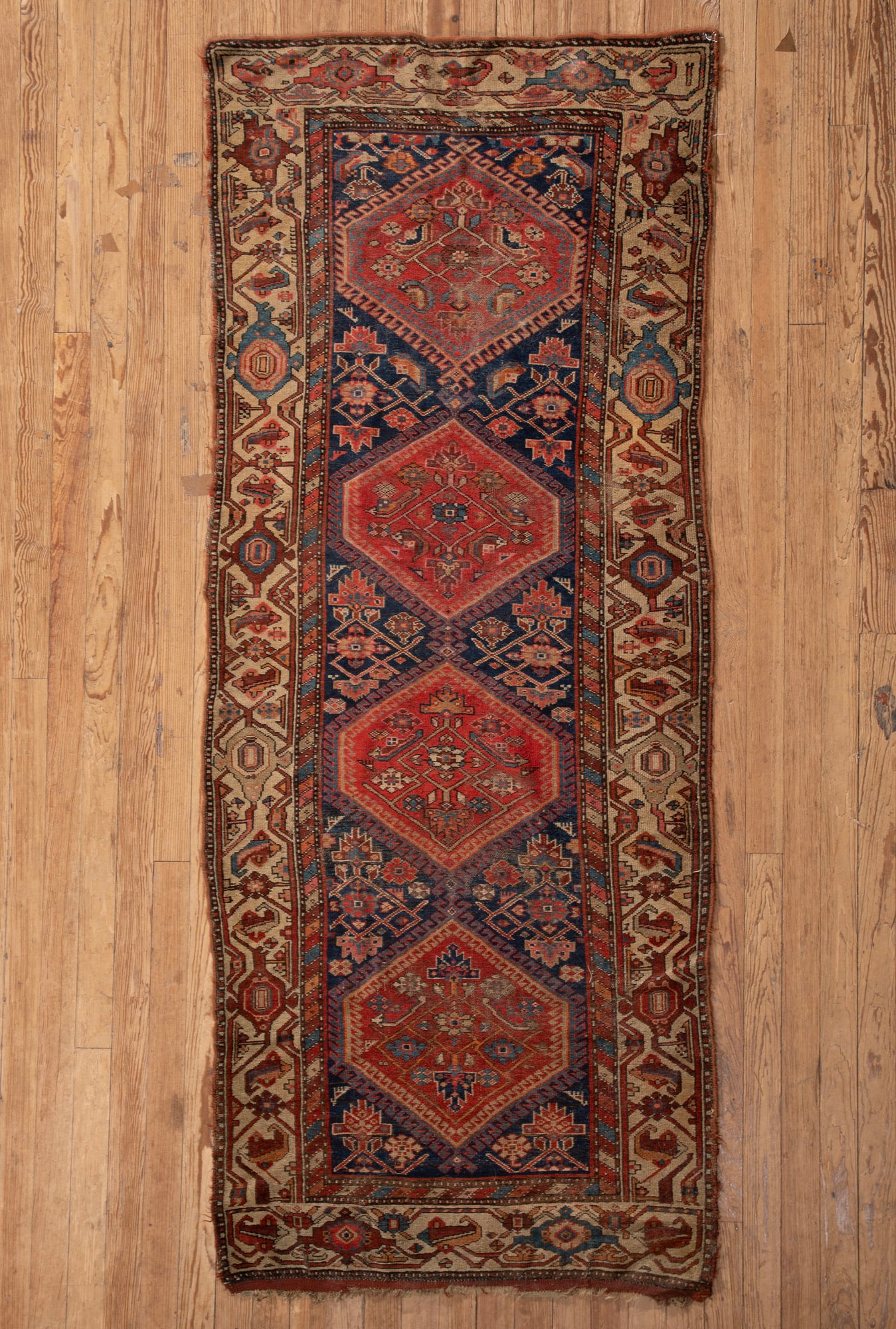 Persian Carpet (1 of 5)