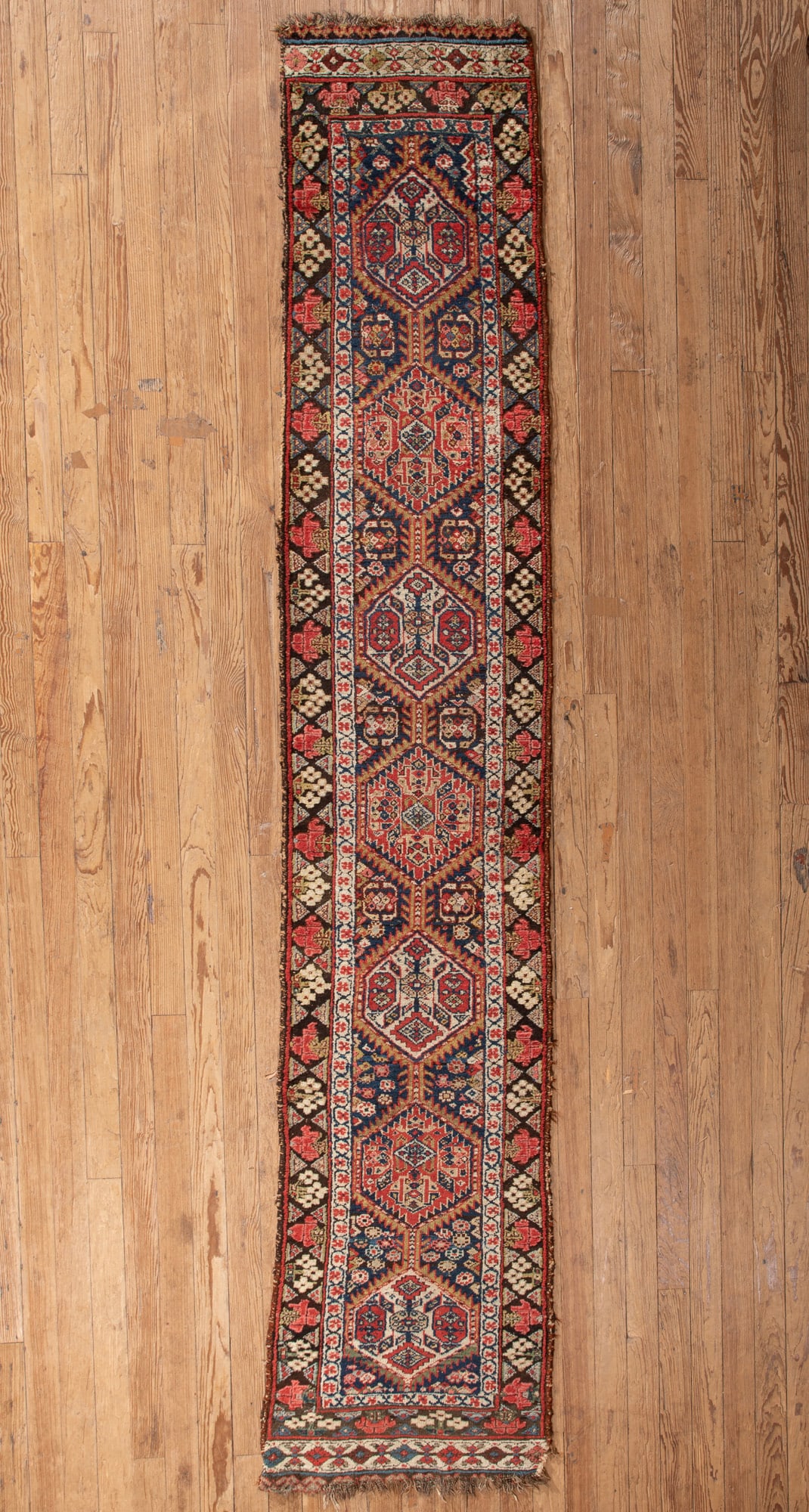 Persian Runner (1 of 1)