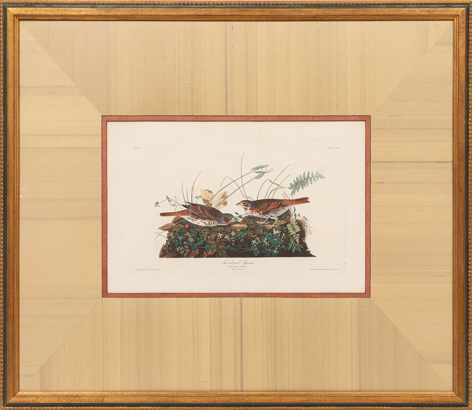 John James Audubon, Fox-Colored Sparrow, hand-colored aquatint with engraving, Havell edition, Plate (1 of 3)