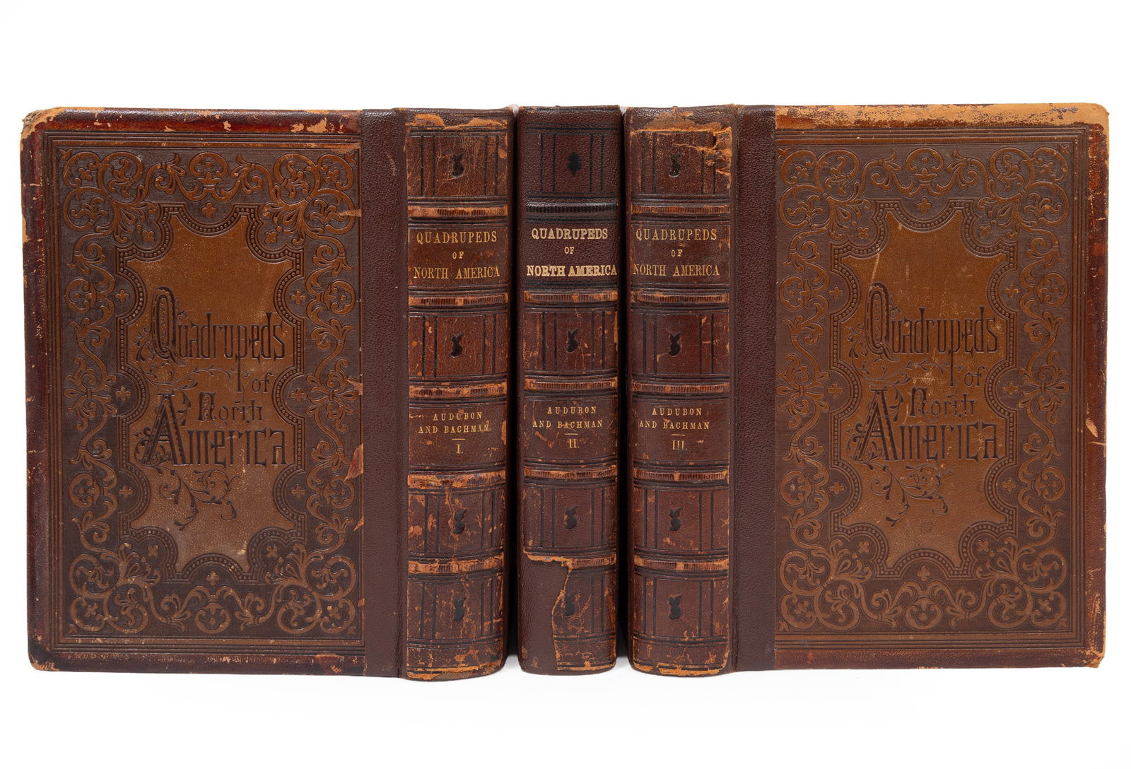 The Quadrupeds of North America, John James Audubon and Rev. John Bachman, published by Victor (1 of 8)