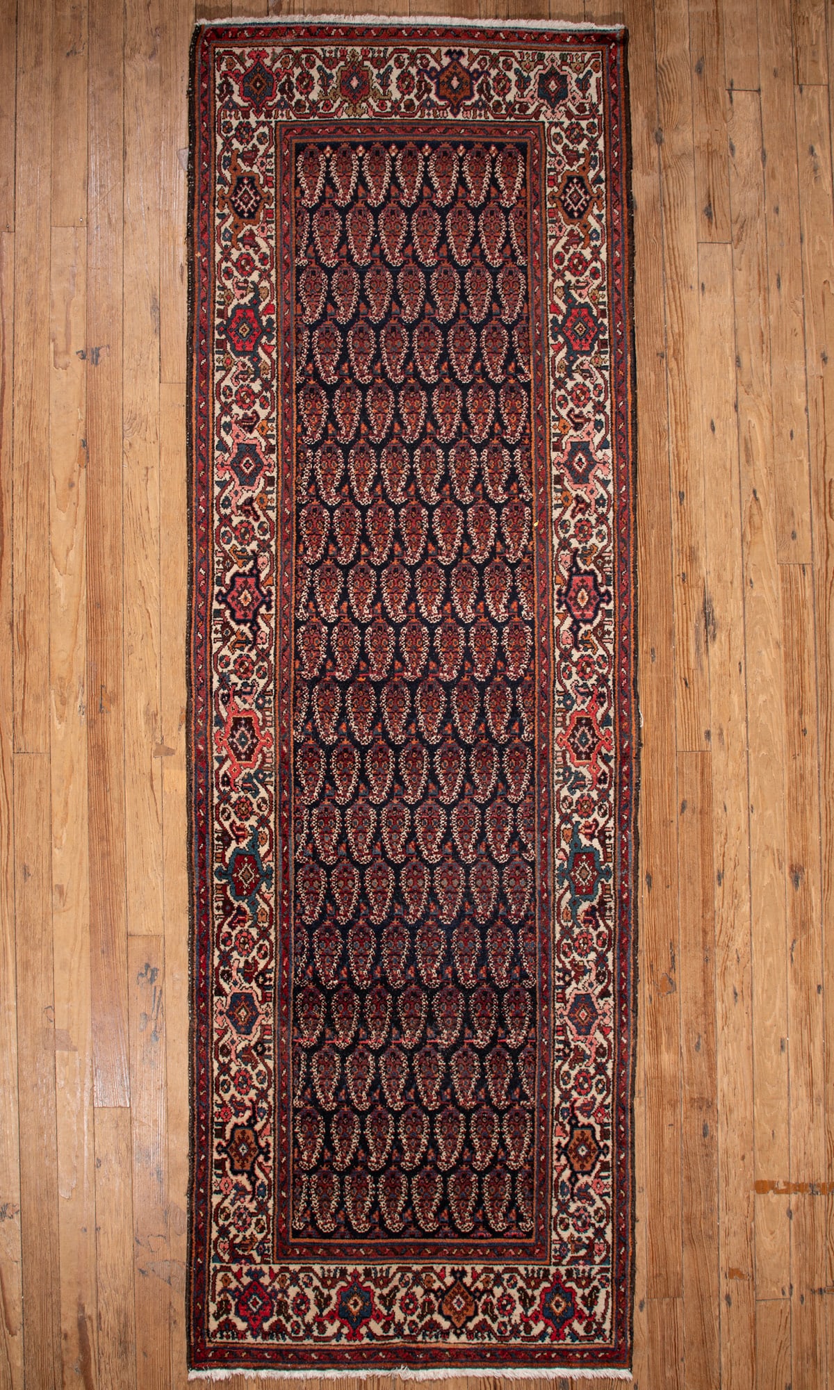 Persian Runner: Persian Runner 3 ft. 5 in. x 10 ft.