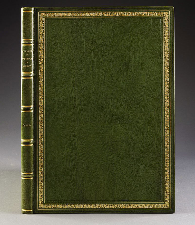 John Gould (English, 1804-1881): John Gould (English, 1804-1881), A Monograph of the Odontophorinae or Partridges of America,1850, London, Richard and John Taylor for the author, folio (21 1/2 in. x 14 in.), with title page, dedicati