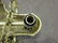 Brass and Gilt Bronze Two-Light Argand Chandelier - 8