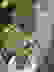 item-33776346=4