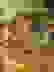 item-33776346=7