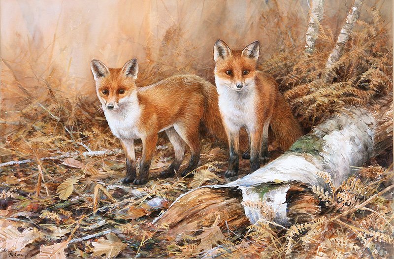 Neil W. Cox (British, b. 1955): Neil W. Cox (British, b. 1955), "Fox Cubs in a Small Woodland Clearing", watercolor and gouache on paper, signed lower left, sight 17 1/2 in. x 26 1/2 in., framed