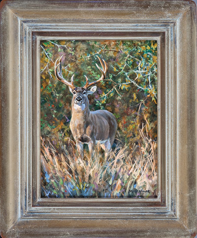 Bruce Miller (American, b. 1952): Bruce Miller (American, b. 1952), "Texas Whitetail Buck", 2009, oil on board, signed lower right, signed, titled, dated and "Collectors Covey" label en verso, 12 in. x 9 in., framed
