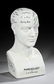 Porcelain Phrenology Head
