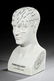 Porcelain Phrenology Head - 2