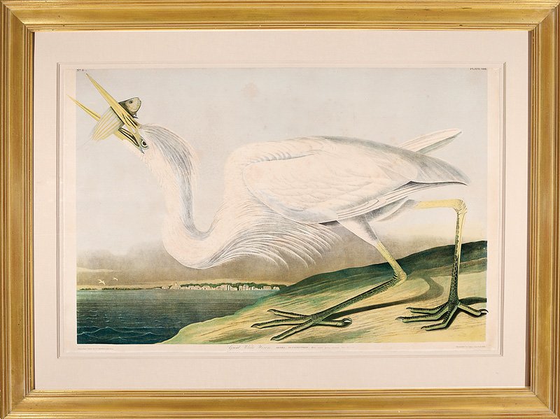 John James Audubon (American, 1785-1851): John James Audubon (American, 1785-1851), "Great White Heron", Plate 368, chromolithograph, from The Birds of America, Bien edition, sheet 25 1/2 in. x 39 in., float-mounted and framed